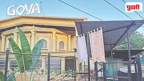 Goya Club Sealed