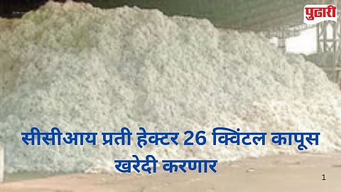 Cotton Purchase