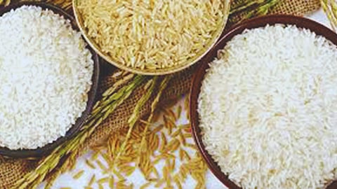 Rice export