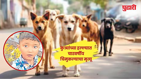 पिंपळगाव बसवंत (नाशिक)