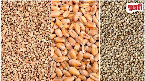Grain Prices