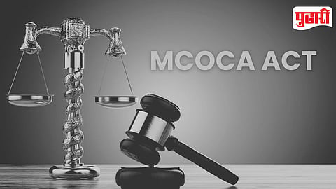 MCOCA