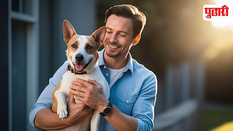 Pet Dog