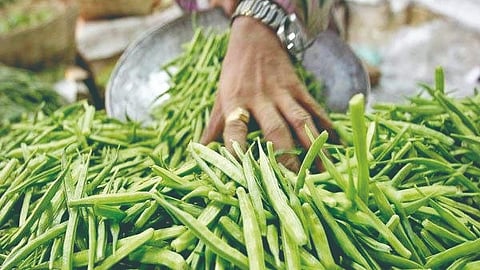 Vegetable Prices