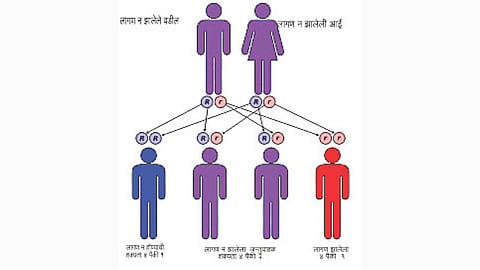 Sickle cell disease cases Nanded