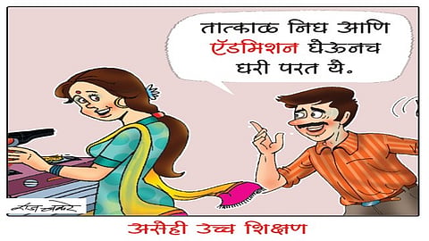 Higher Education
