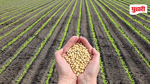 Crop Sowing