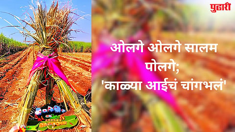 Latur News