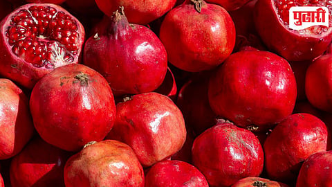 Pomegranate