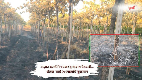 Sangali news