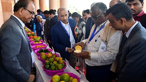 जळगाव
