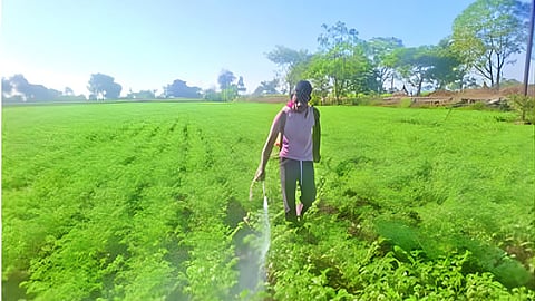 Agriculture news