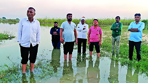 Gangapur News