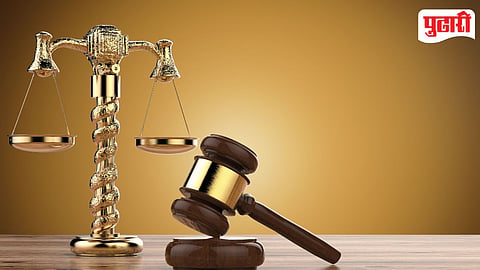 Law