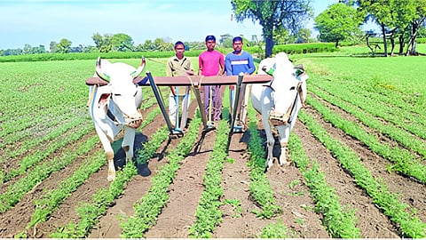Jalna News