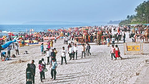 New Year Celebration