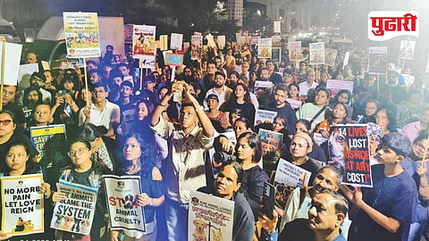 Animal lovers Protest