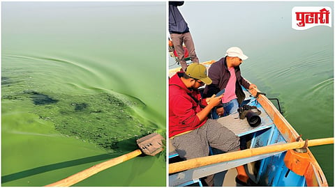 Ujani Dam Water Pollution