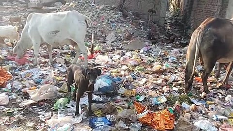 Jalna Civic Issues