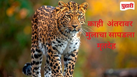 Tiroda Leopard Attack child