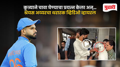 Shreyas Iyer Dog Attack Video