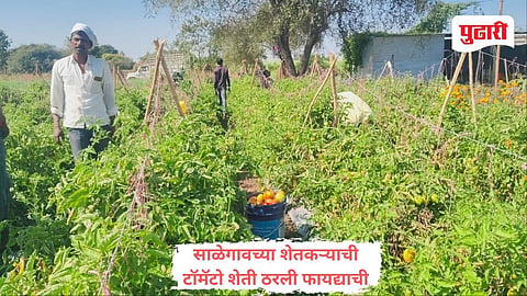केज येथील शेतकरी भागवत मुळे