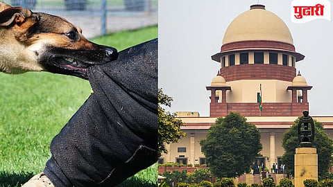 Supreme Court| कुत्र्यांच्या हल्ल्यात मुले किंवा वृद्ध जखमी झाल्यास आम्ही राज्यांवर मोठी भरपाई आकारु : सर्वोच्च न्यायालय