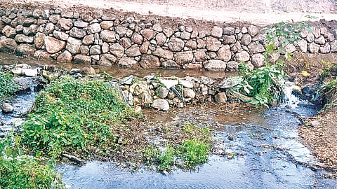 Dhom canals