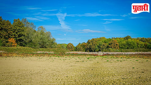 Land