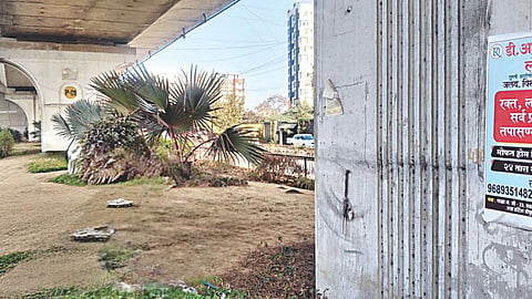 Highway beautification project