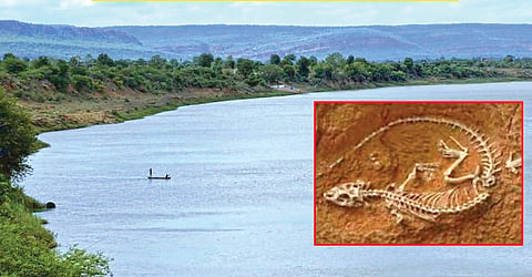 Narmada River