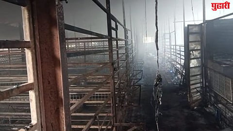 Fire mishap goat farm