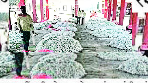 beed news