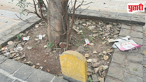 Linear Garden Misuse