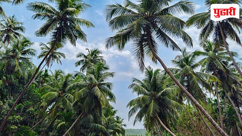 Goa Budget Reaction