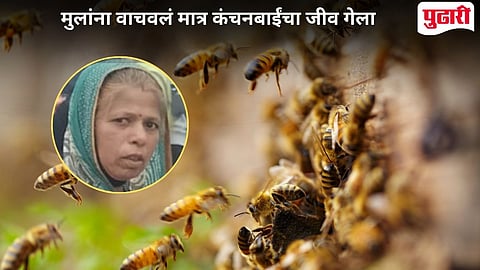 Bees Attack