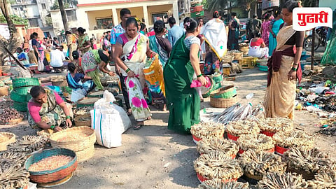 Dry Fish Market