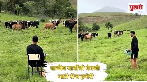 Viral Video