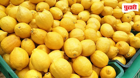Lemon