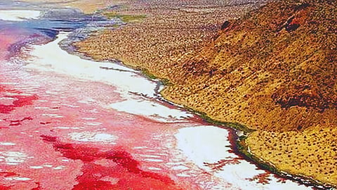 Red lake water