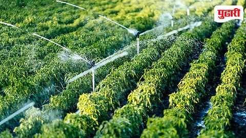 Maharashtra Irrigation Projects