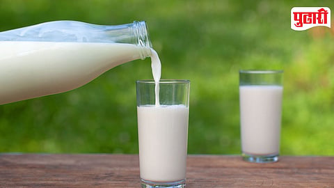 Milk