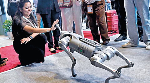 Robotic Dog Controversy |