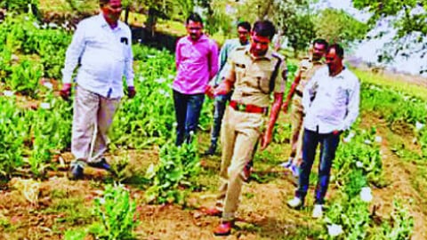 Hingoli Crime News