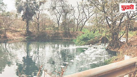 KDMC Polluted Water Farming
