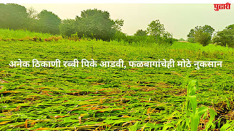 Unseasonal rain in Sambhajinagar