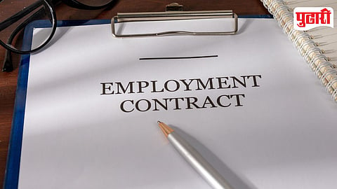Employment