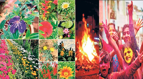 Nature change festival |