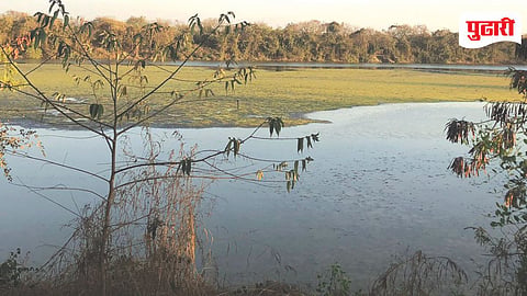 DPS Lake