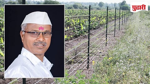Beed News
